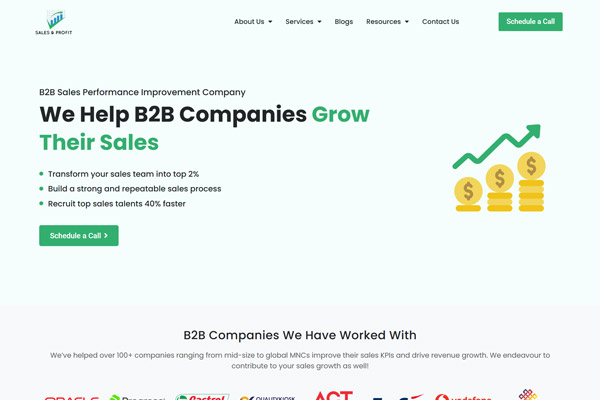 Sales & Profit website design — portfolio sample.